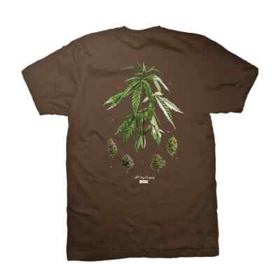 Футболка DGK Dirty Ghetto Kids Botanical Society S/S (темный шоколад)