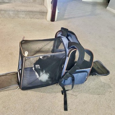 Photos de l'objet d'un acheteur vérifié