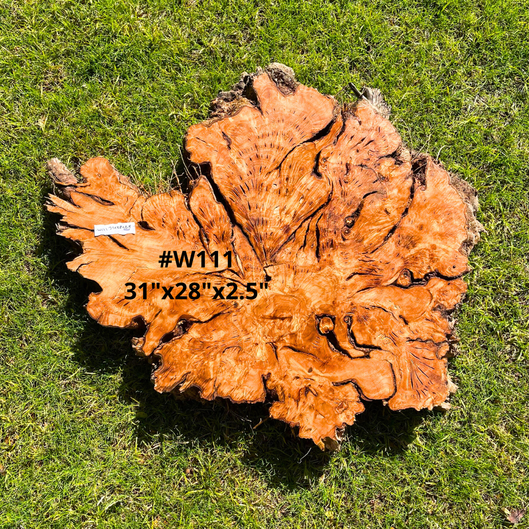 Olive Wood Live Edge Burl Slabs for Resin Projects, Wood Art