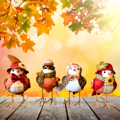 2024 Autumn & Thanksgiving Featherly Friends Bird Set of 4
