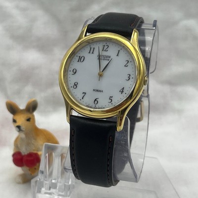 Working Item Citizen Eco-Drive Forma E030-K17331 Qz