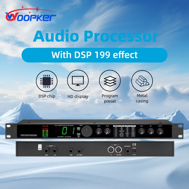 Echo Hybrid Digital Audio Processor Multi Effects Digital Reverb 199 Preset Soun