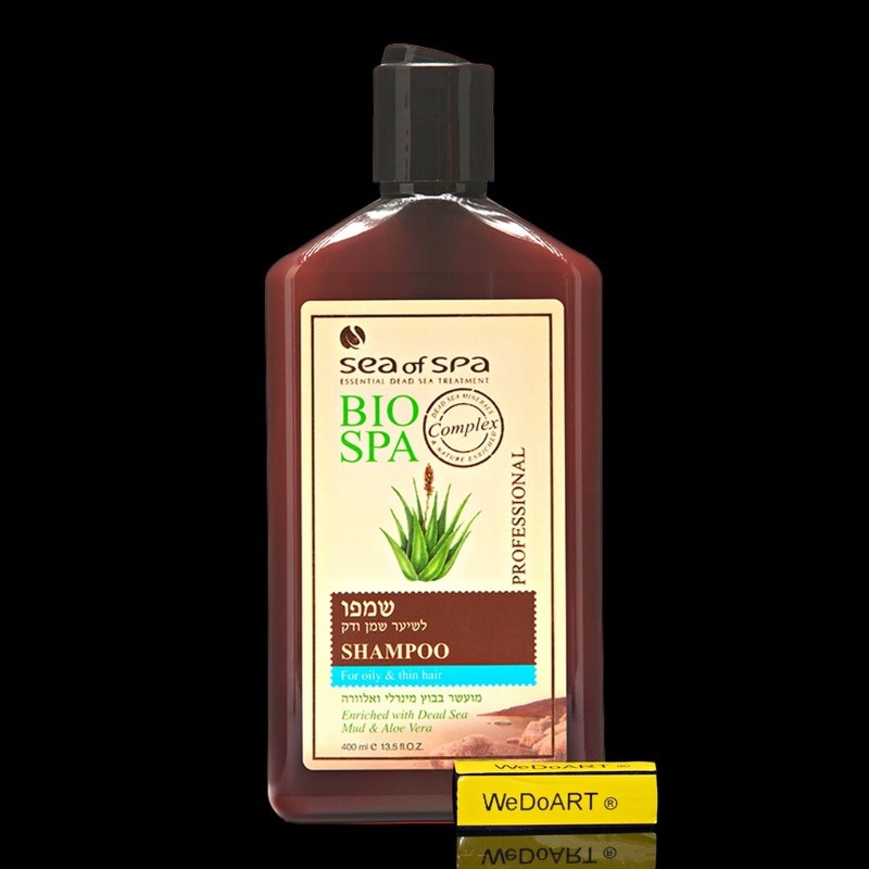 aloe vera plant pups Aloe Vera Pups – Vence Shop main image 1