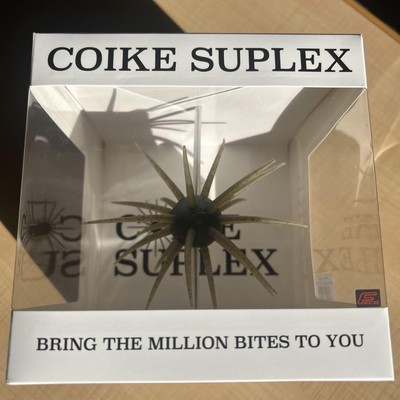 Koike Suplex