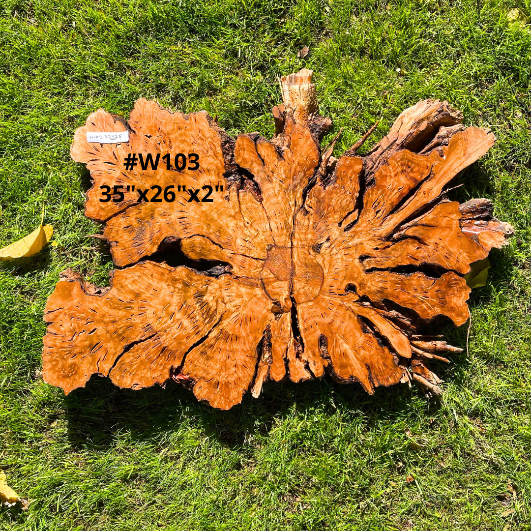 Olive Wood Live Edge Burl Slabs for Resin Projects, Wood Art