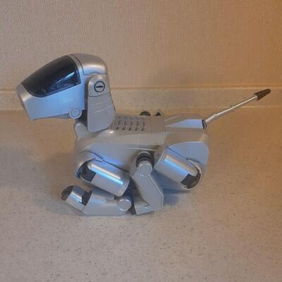 ＡＩＢＯ ERS―111 ERS-111/110 Overview | Learn About Aibo | Virtual Paws