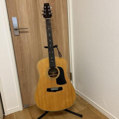 ARIA アコースティックギター ADW-200BS RITTER ソフトケース ARIA アコースティックギター ADW-200BS RITTER ソフトケース ギター