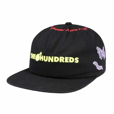 

Кепка Snapback The Hundreds Impermanence (черная) Регулируемая кепка, Черный