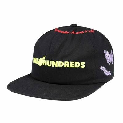 Кепка Snapback The Hundreds Impermanence (черная) Регулируемая кепка