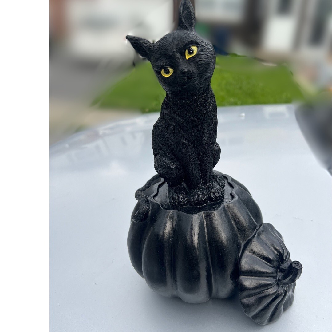 * black cat ornament ୨୧* 黒猫さん クリップ （a） black cat ornament ୨୧* 黒猫さん クリップ （a） black cat