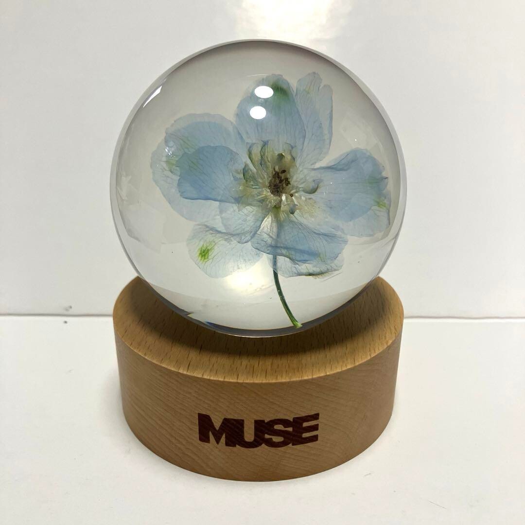 BTS Jimin Muse BLOOMING ver. Flower Paper Weight NEW item