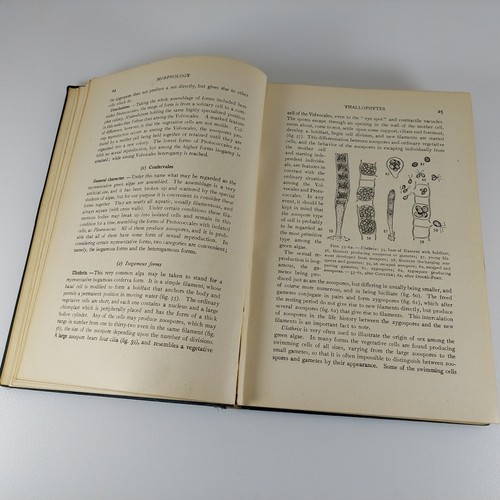 Text Book Of Botany Vol 1 Morphology And Physiology Coulter, Barnes, Cowles 1910