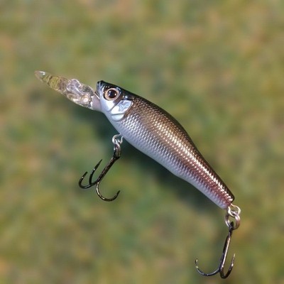 Megabass LiveX Smolt Angelköder unbenutzt Top Zustand