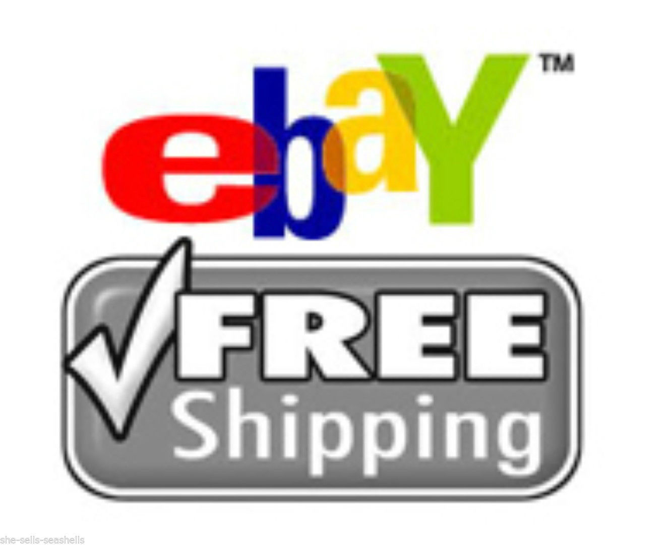 11 NEW 60 MINUTE DVC MINI CASSETTES 8 TDK DVC +3 MAXELL DV BLANK CAMCORDER TAPES