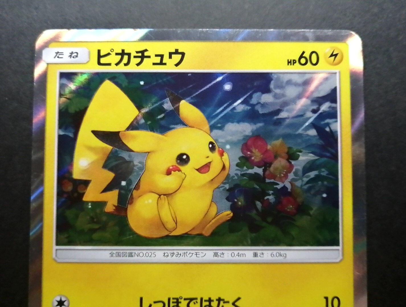 ピカチュウ PROMO Pikachu [Kanasawa] #144/S-P Prices | Pokemon Japanese Promo