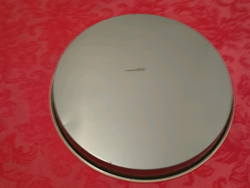 2  GOOSE  & SQUIRREL PICNIC METAL TIN ROUND SERVING TRAYS 11 3/4