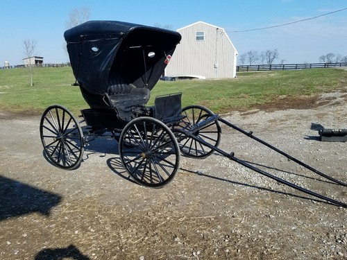 antique doctor's buggy