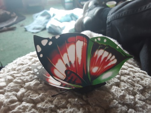 Artikelfoto(s) von einem verifizierten Käufer