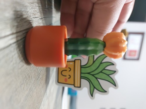 Artikelfoto(s) von einem verifizierten Käufer