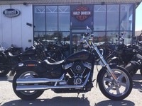 2023 Harley-Davidson SOFTAIL FXST STANDARD FXST Vivid Black (23MY) Custom PETROL