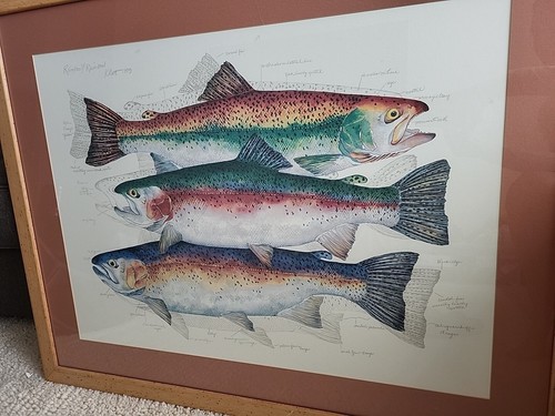 絵画 Eileen Klatt Rainbow Trout 1993 Klatt Rainbow/Rainbow Trout 1993 Fish Offset Lithograph