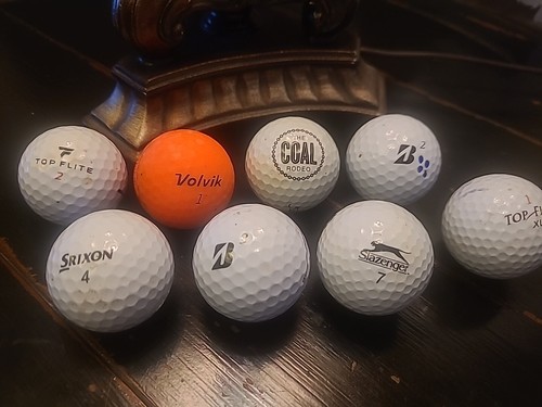 最終価格！GOOLD GOLF ROCKERS TEAM LOGO SNAKET Srixon ZXi5 & ZXi7 Black Chrome Limited Edition now
