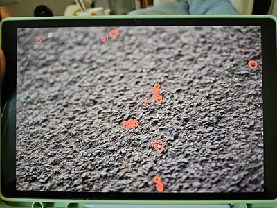 Foto dell'oggetto di un acquirente verificato
