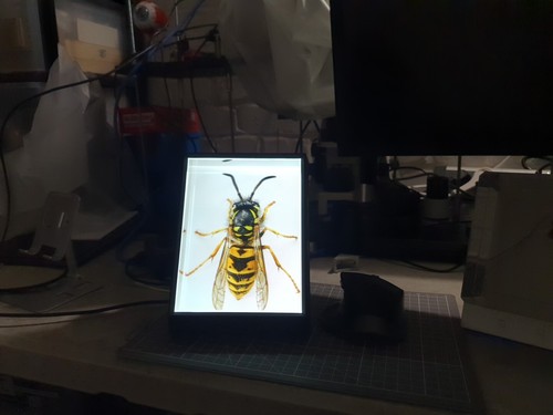 Objectfoto('s) van geverifieerde koper