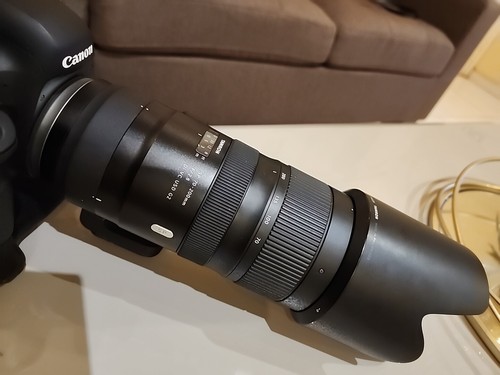 Foto dell'oggetto di un acquirente verificato
