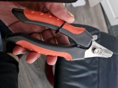 Fotos del artículo de un comprador verificado