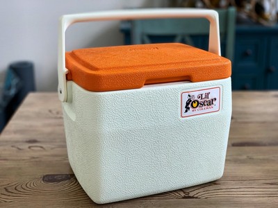 vintage coleman lunch box