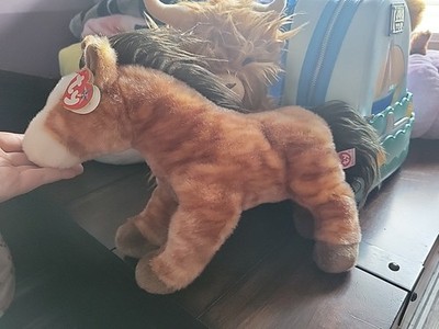 Foto dell'oggetto di un acquirente verificato