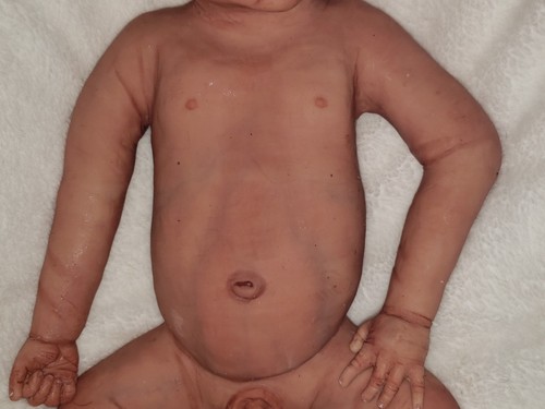 full body silicone baby boy new SOFTEST SILICONE ethan small boo boos