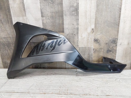 2024 2024-2025 Kawasaki ZX636R ZX6R ZX-6R 636 L/H Lower