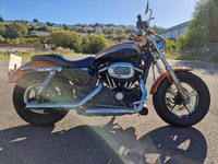 HARLEY-DAVIDSON 1200 CUSTOM IN ORANGE/BLACK