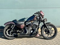 2019 Harley-Davidson SPORTSTER IRON XL883N Solid Colour (19MY) Custom PETROL Man