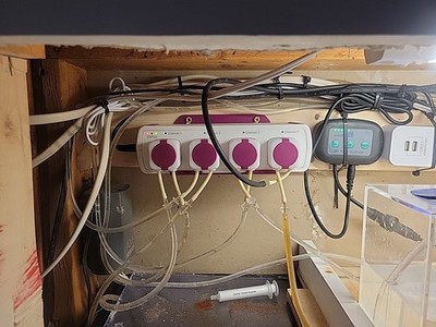 Artikelfoto(s) von einem verifizierten Käufer