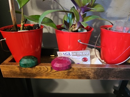 Fotos del artículo de un comprador verificado