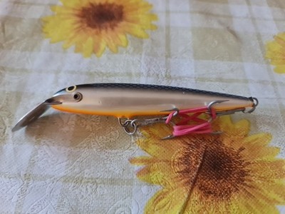 Foto dell'oggetto di un acquirente verificato