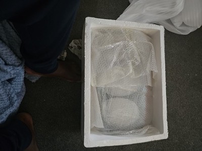 Item photo(s) from verified buyer