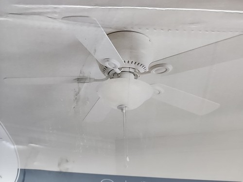「Light Mellow Breeze」 Harbor Breeze Mazon 44-in White with White/Driftwood Blades