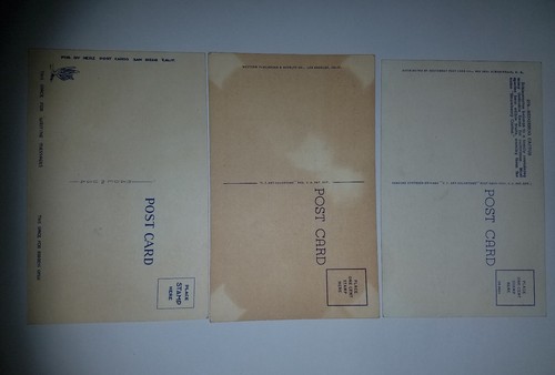 Vintage Set of 3 Floral Cactus Postcards *UNUSED*