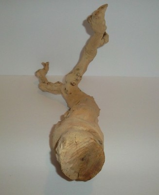 Manzanita Wood Forked Branch Aquarium Driftwood Reptiles Bird Perches Crafts