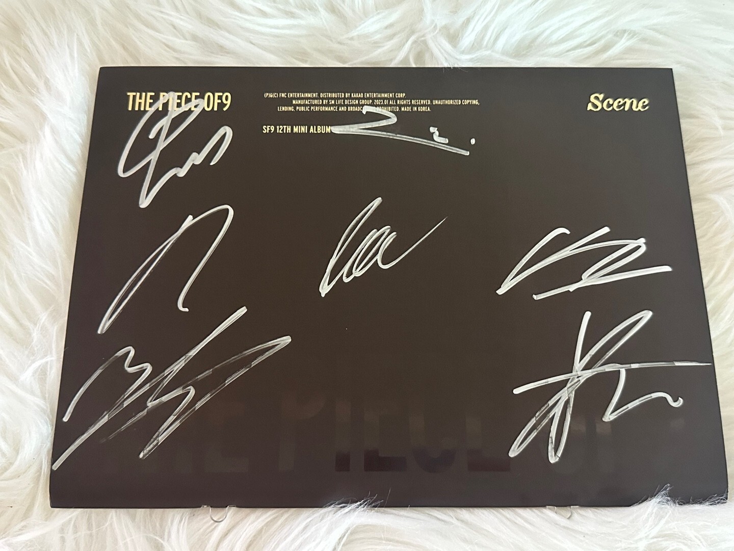 SF9 サイン入りCD 限定生産 ピクチャーレーベル盤 SF9 チャニ 直筆サイン入り CD