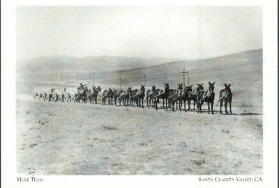 *CA Postcard-''Mule Team/Mining & Transportation/ *Santa Clarita Valley {G179-S1}