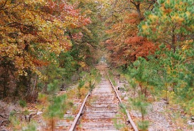 Foto dell'oggetto di un acquirente verificato