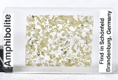 AMPHIBOLITE - nice Hornblende rich terrestrial rock - Thin Section