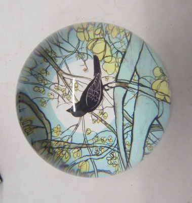IPOP Blackbird Cherry Blossom Premium Glass Paperweight Dot Design 3''