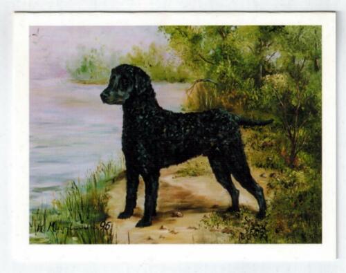 New Black Curly-Coated Retriever Notecard Set - 12 Note Cards By Ruth Maystead