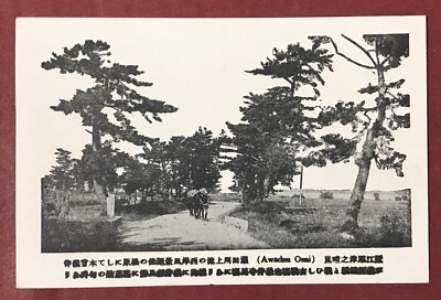 Old Postcard Japan Oumi Biwa Lake Pine Trees Street #37541